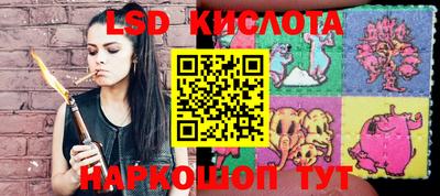 индика Заводоуковск
