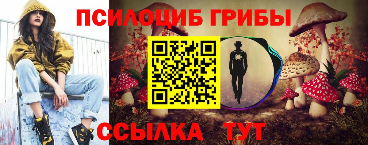 Галлюциногенные грибы прущие грибы Искитим