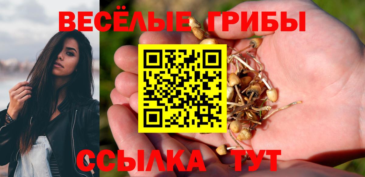 Псилоцибиновые грибы MAGIC MUSHROOMS  Псилоцибиновые грибы мицелий  Вход с VPN  Искитим 